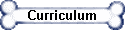 Curriculum