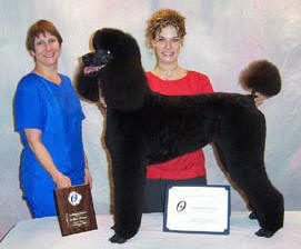 Dog Grooming Classes