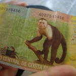 wwoofing in Costa Rica