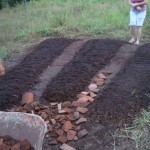 wwoofing in Costa Rica