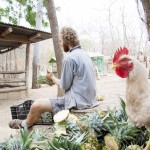 wwoof Costa Rica