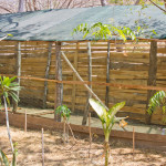 wwoof Costa Rica