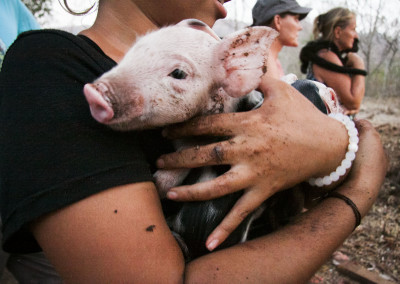 Volunteer in Costa Rica