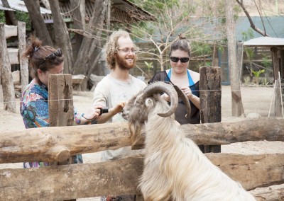 Volunteer in Costa Rica