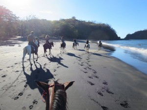 Ride Horses on the beach