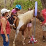 Free Equine Assisted Activities