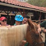 Equine assisted activities Free