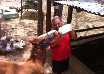 Contact Vicki Conley for horse rescue in Costa Rica