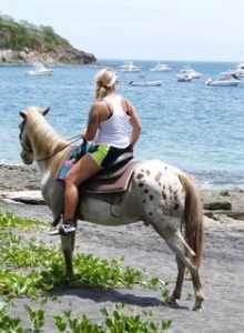 contact Vicki Conley for horse rescue in Costa Rica
