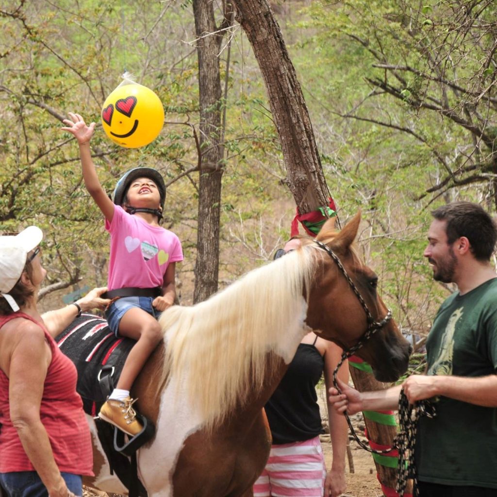 Adopt a Horse for Equine Therapy